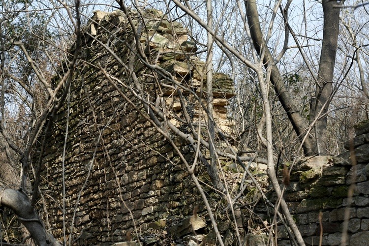 _mg_9384.jpg