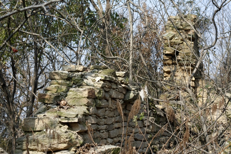 _mg_9386.jpg