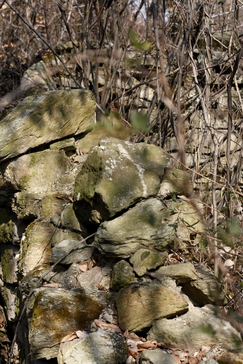_mg_9390.jpg