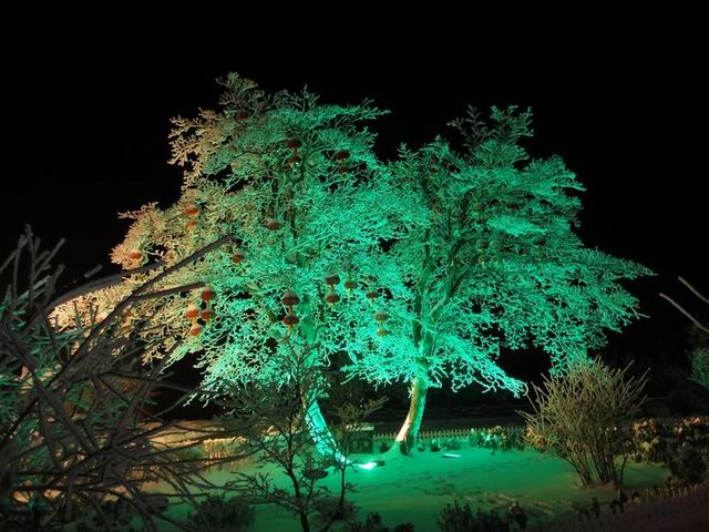С 201121120485169302.jpg