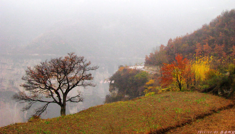 2011ʯҴϿ 1083-12.jpg