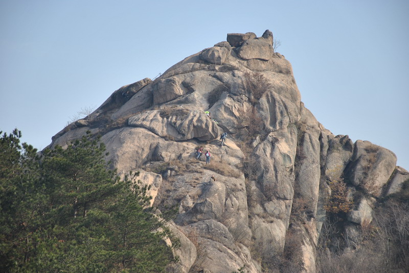 dsc_0115.jpg