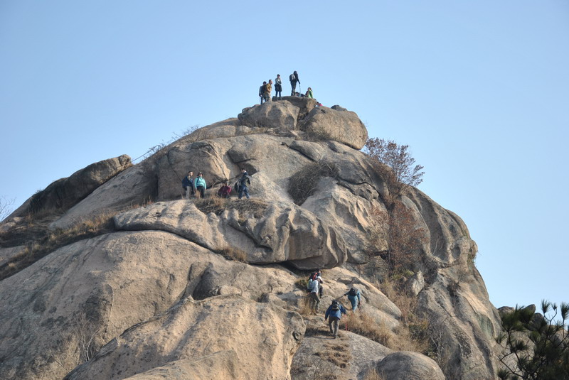 dsc_0117.jpg