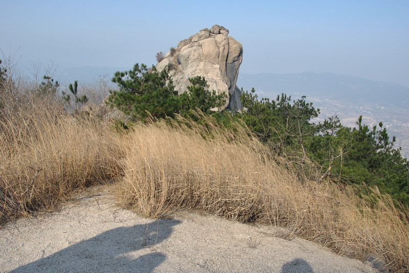 dsc_0132.jpg
