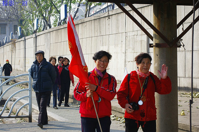 imgp2693.jpg