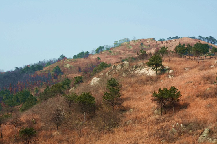 _mg_9431.jpg