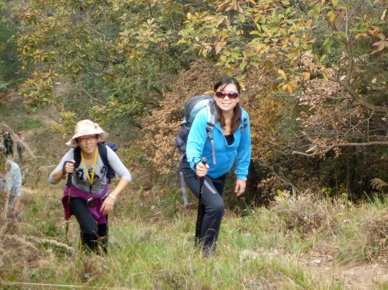 p1020236.jpg