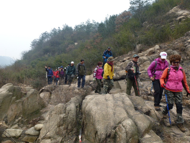 p1020888.jpg