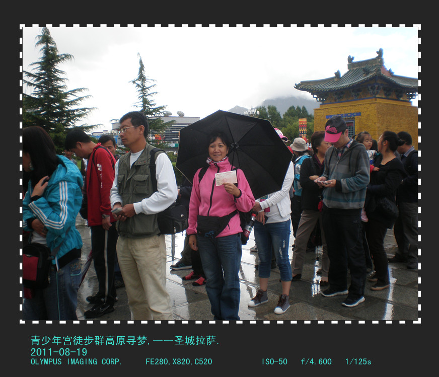 p8190468_.jpg