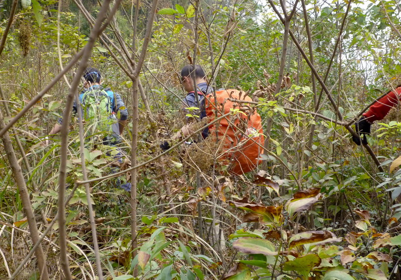 p1020276.jpg
