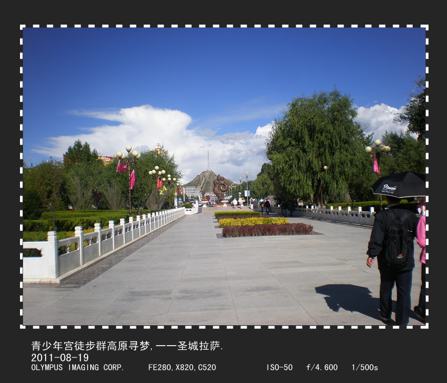 p8190518_.jpg