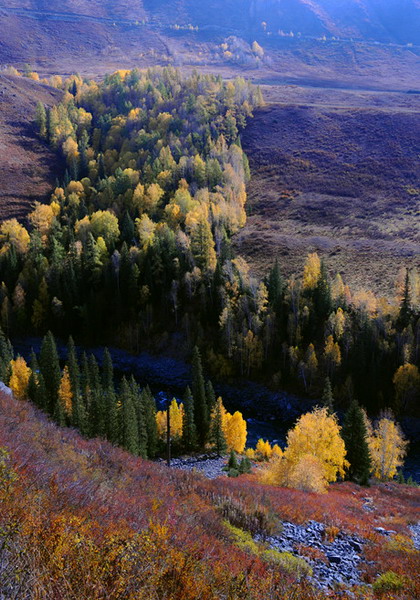 dsc_0062.jpg