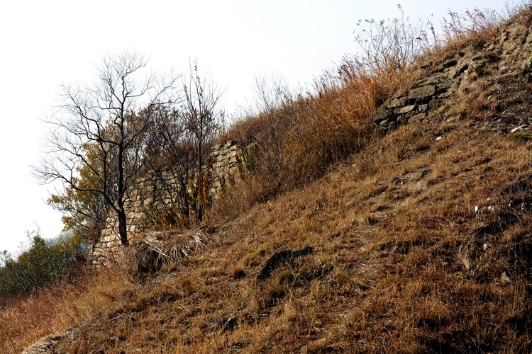 _mg_9418.jpg