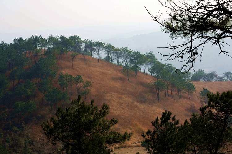_mg_9426.jpg