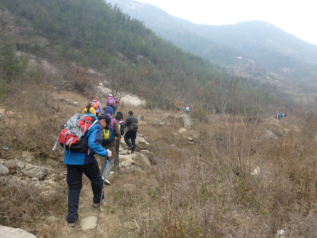 p1020905.jpg