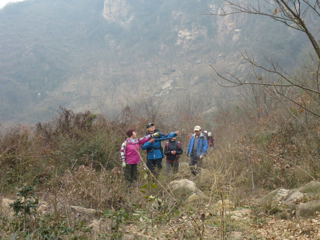 p1020908.jpg