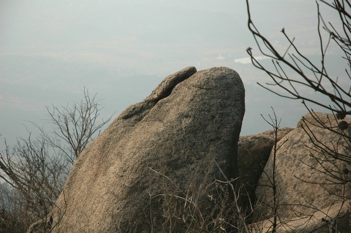 dsc_1063.jpg