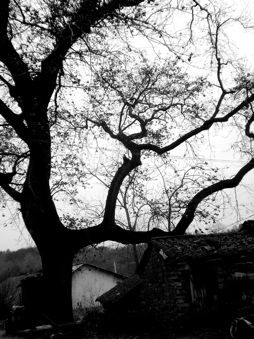 dscn8827.jpg