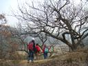 2011.12.5.jpg