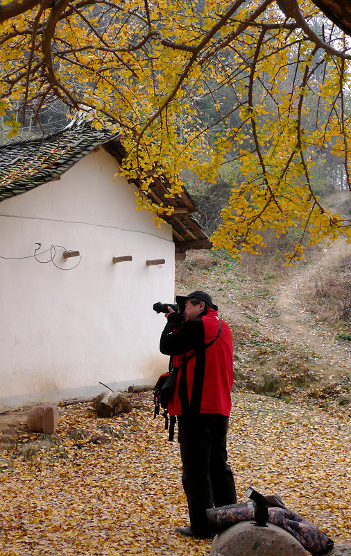 p1140132.jpg