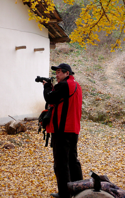 p1140133.jpg