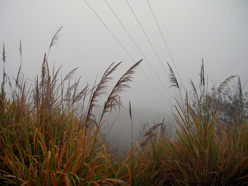 dscn3619_.jpg