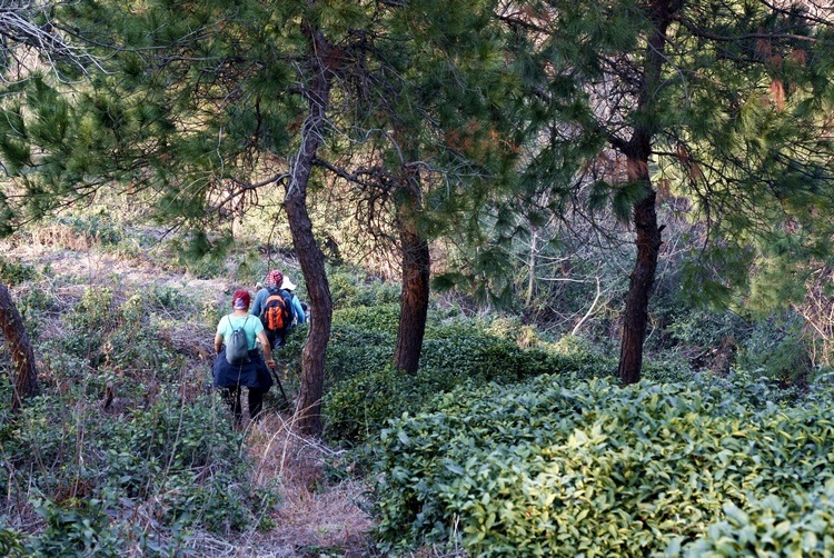 _mg_9442.jpg