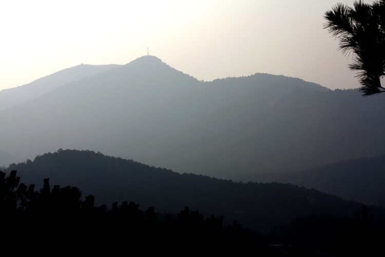 _mg_9438.jpg