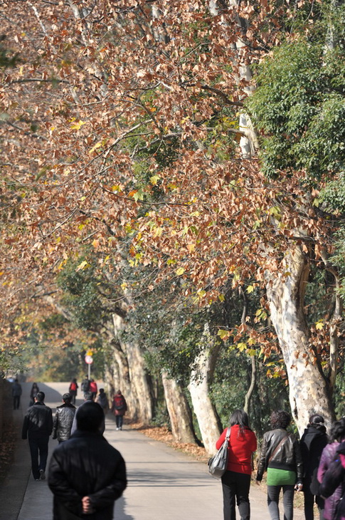 20111211 ж361 240.jpg