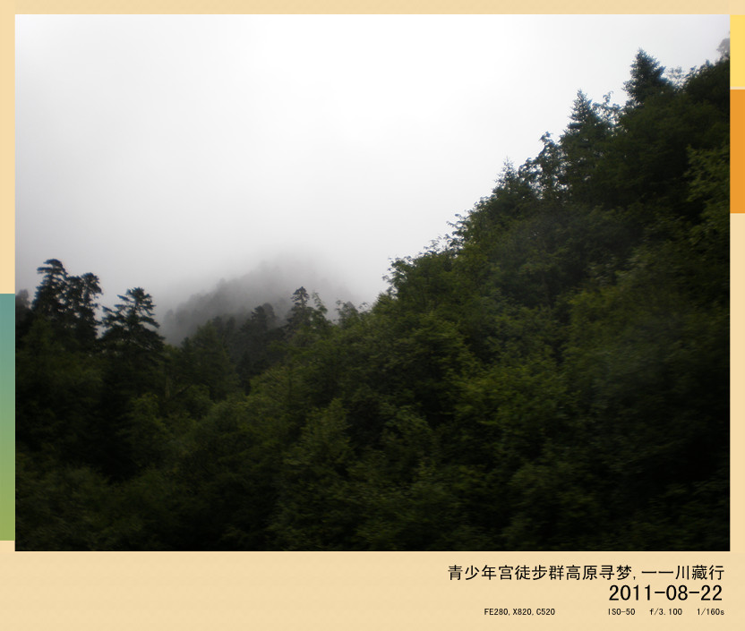 p8220569_.jpg