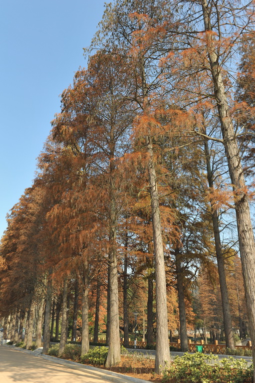 20111211 ж361 273.jpg