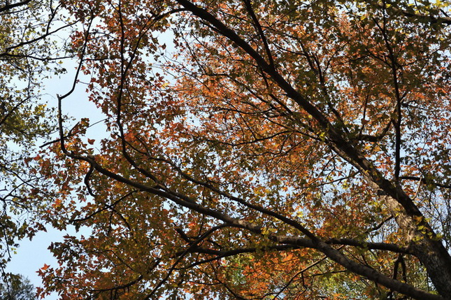20111211 ж361 251.jpg