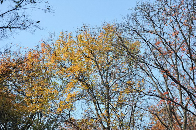 20111211 ж361 253.jpg