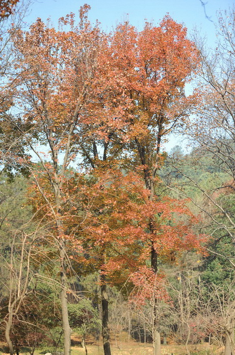 20111211 ж361 254.jpg