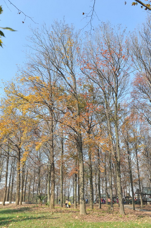 20111211 ж361 266.jpg