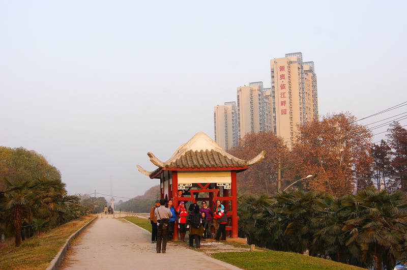 dsc02422.jpg