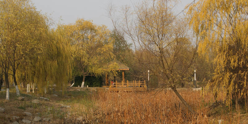 dsc02363.jpg