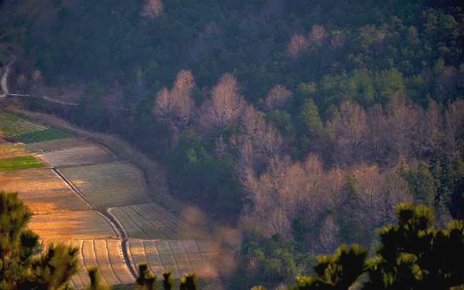 ľԽ20111224 210.jpg