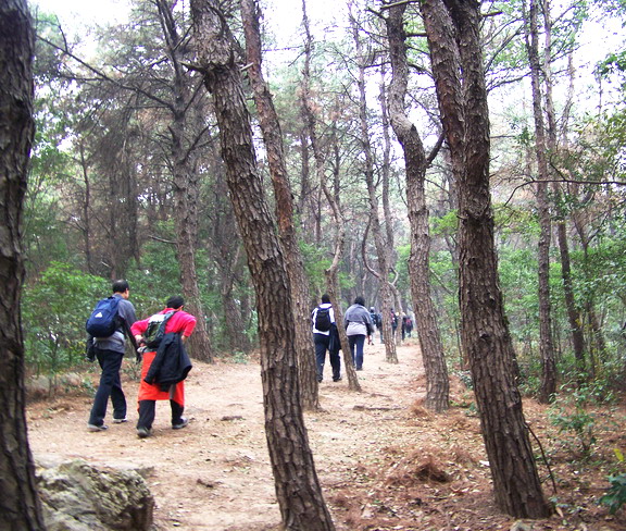 100_6333.jpg