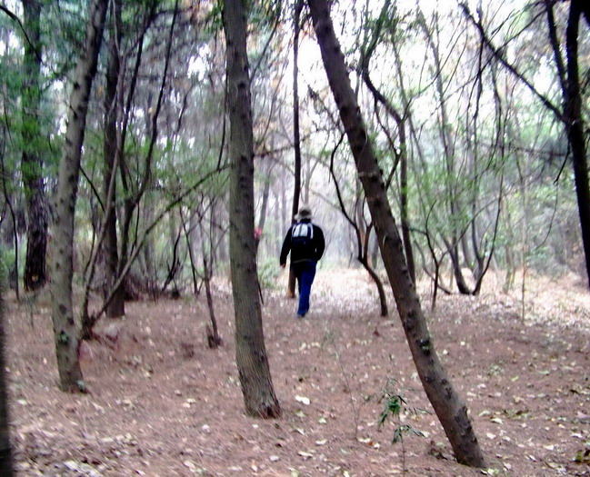 100_6337.jpg