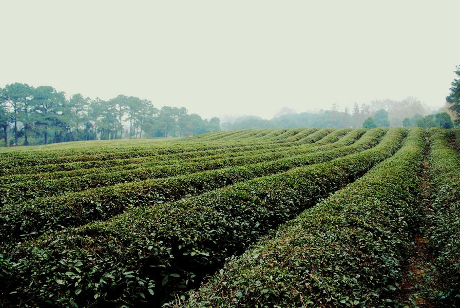  022_conew1.jpg