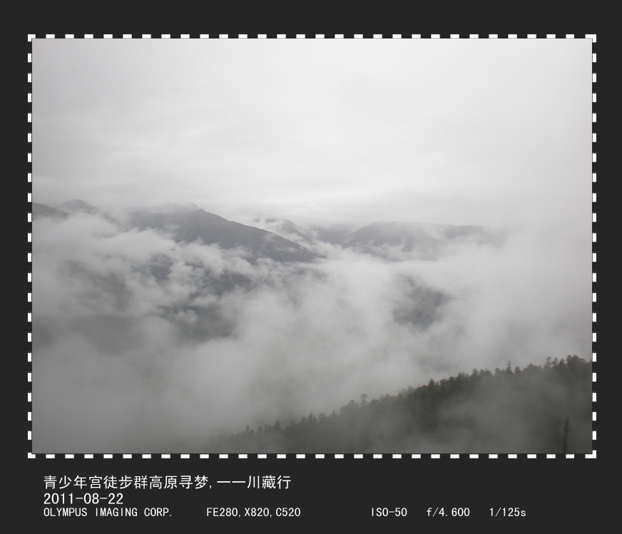 p8220585_.jpg
