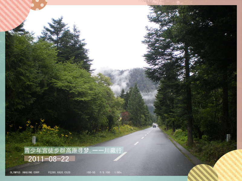 p8220605_.jpg
