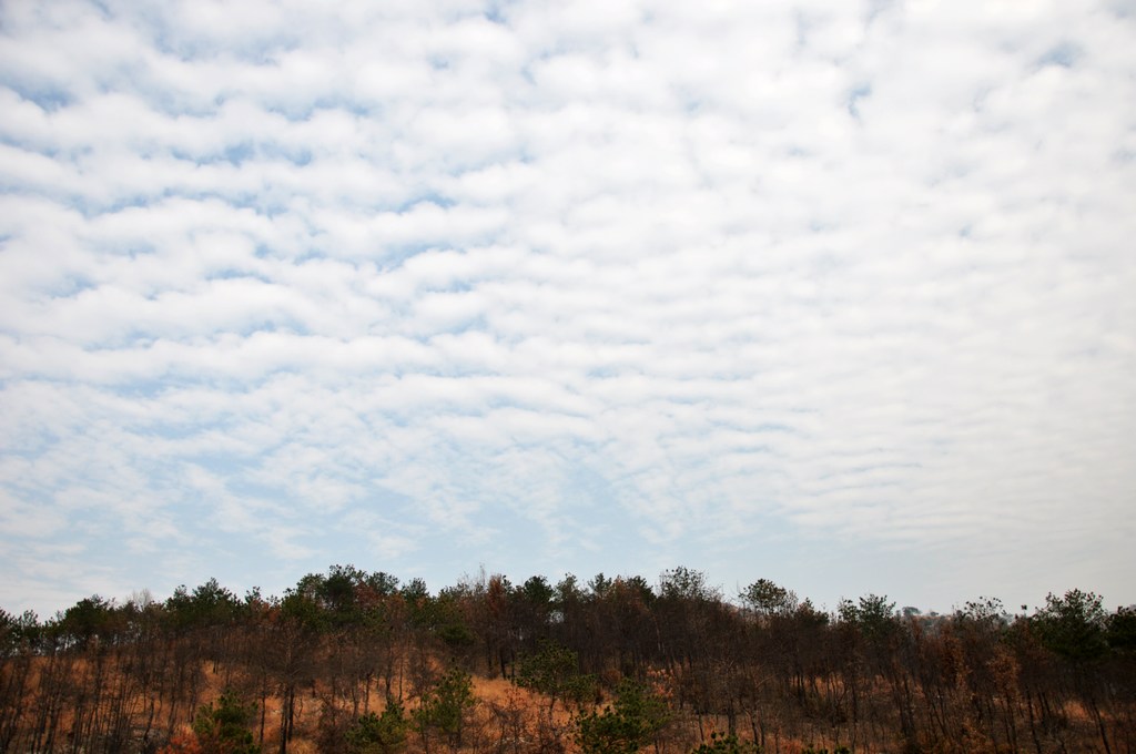 dsc_0567.jpg