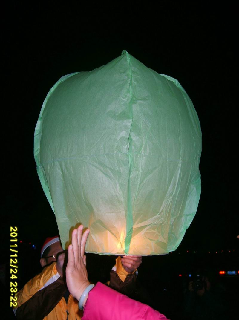ת s5006833.jpg2.jpg
