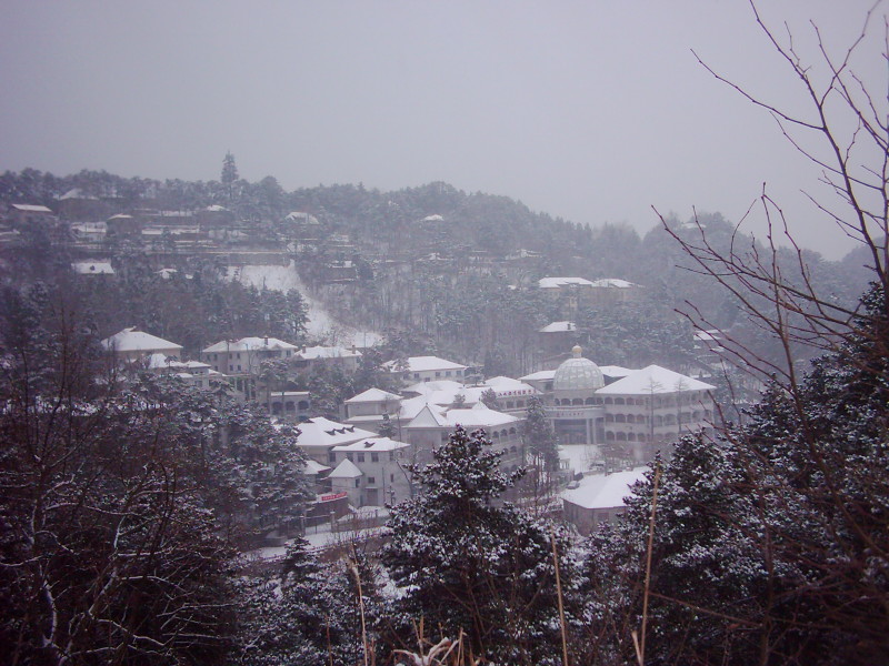20111220201288227.jpg