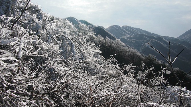 07.jpg