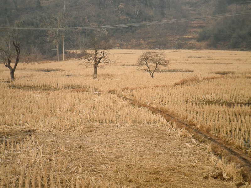 pc200031-1.jpg