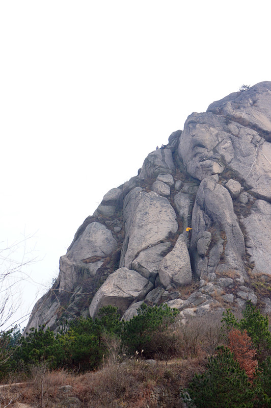 dsc00117_.jpg