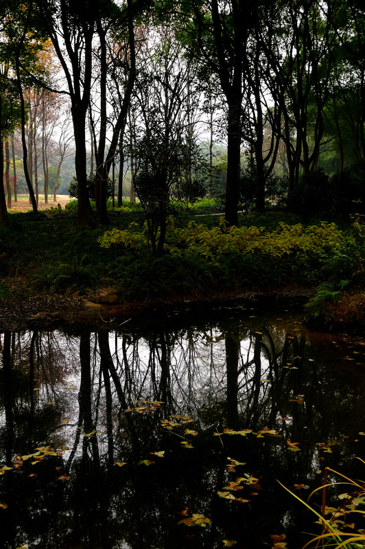 p1070240.jpg